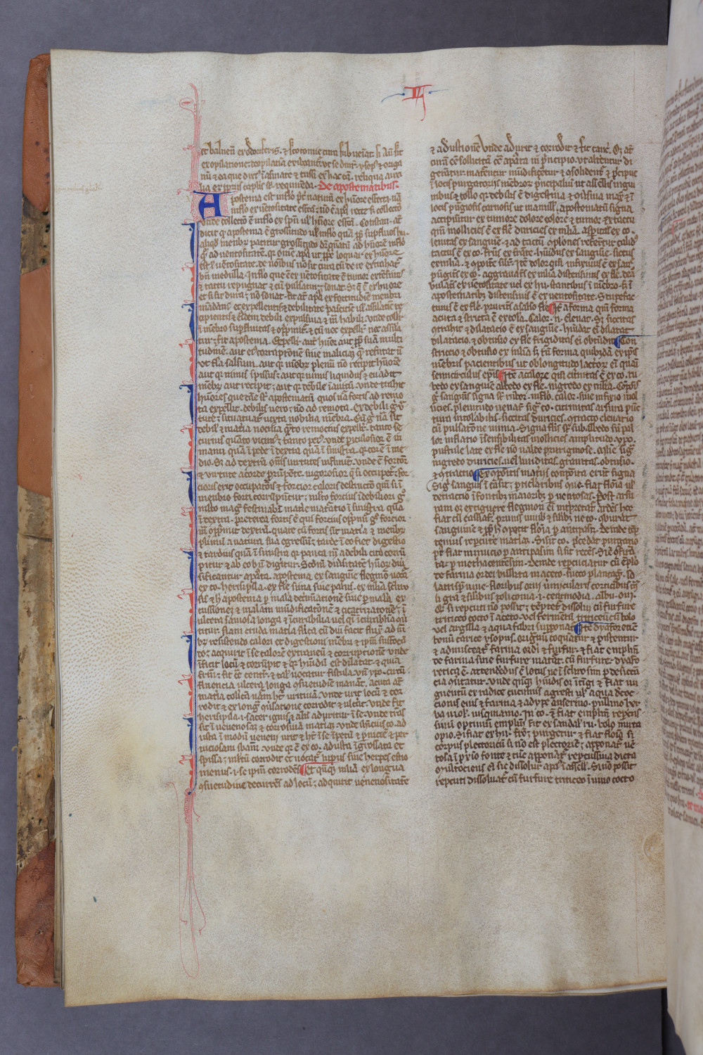 Folio 94 verso